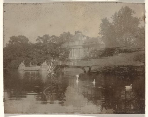 Country house on the shore of a water where swans are swimming, with trees in the background
