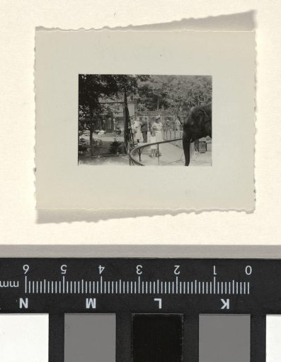 Photograph of the Stuttgart Zoo, August 1933