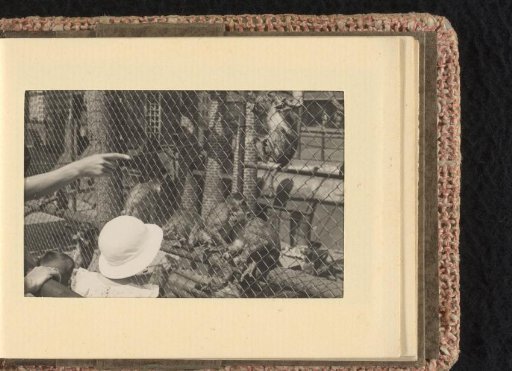 Isabel Wachenheimer in front of the monkey enclosure in the zoo, June-August 1933, Hamburg