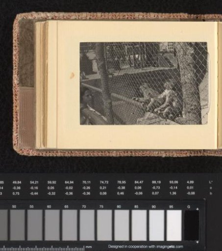 Monkeys in the zoo, July-August 1933, Hamburg