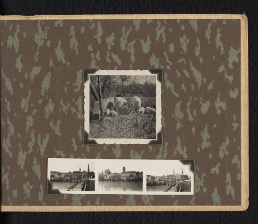 Stuttgart from the Residence of the Wachenheimer Family and a Photo of Pigs, Late 1932, Stuttgart