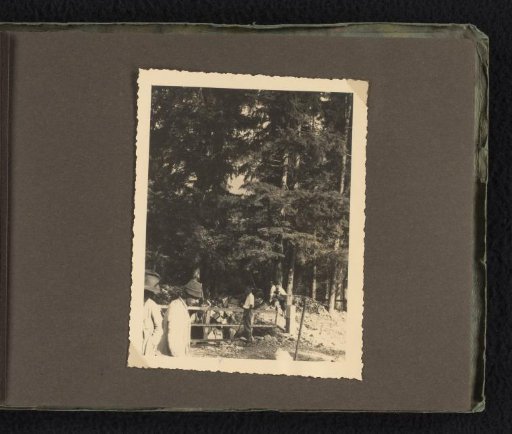 Woodcutters at Work, Photographed During a Vacation of the Wachenheimer Family, August 1932, Eibsee (Bavaria)