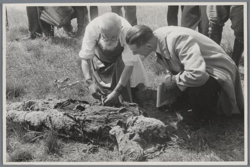 Exhumation of the executed at the Waalsdorpervlakte and identification of the dead, June 1945