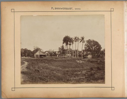 Pl. Brouwerslust, cocoa
