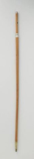 Walking Stick Belonging to Lieutenant Admiral Jan Corneliszoon Meppel (1609-1669)