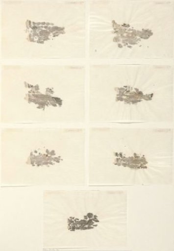 Loose border fragments of prints