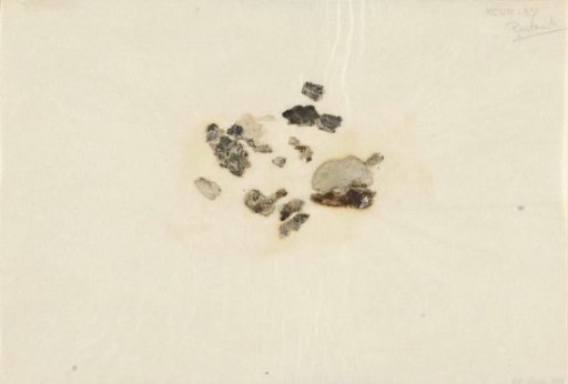 Loose fragments of prints