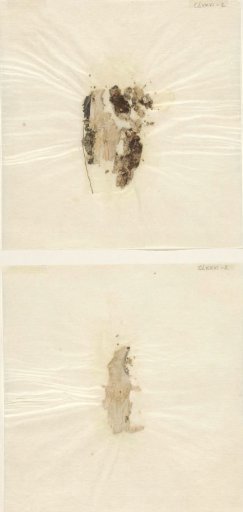Loose border fragments of prints