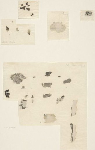 Loose border fragments of prints