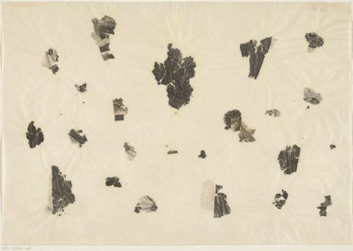 Loose border fragments of prints
