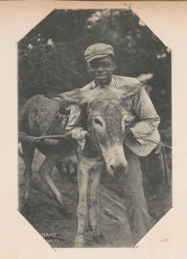 Surinamese boy with a donkey