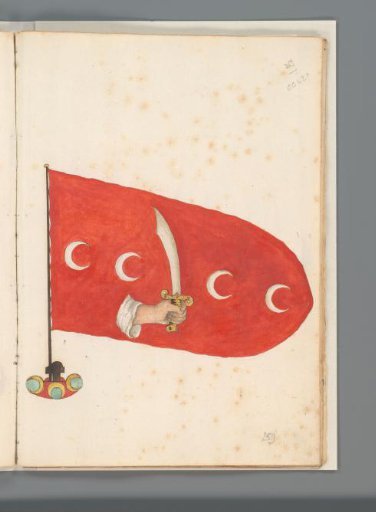 Flag of a North African state