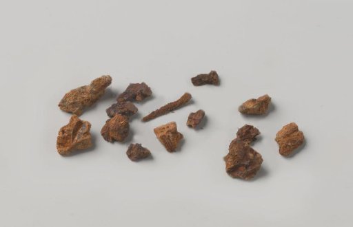 Corroded nails with concretions from the wreck of the East Indiaman Hollandia