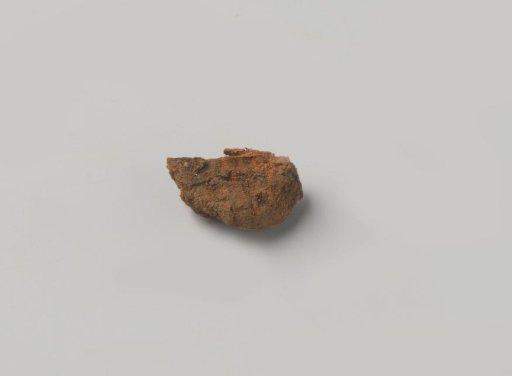 Wood fragment from the wreck of the East Indiaman Hollandia