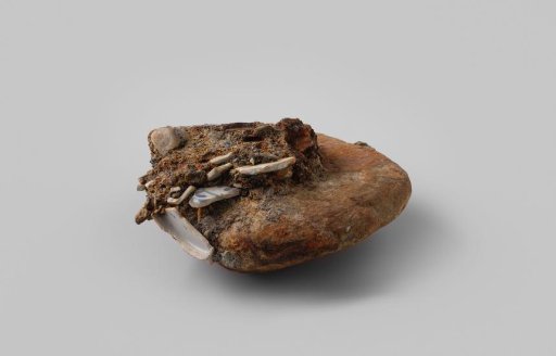 Concretion fragment with inclusions of natural stone, porcelain, and wood from the wreck of the East Indiaman Hollandia