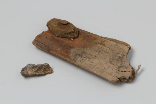 Fragment of a Wooden Plank with Concretion from the Wreck of the East Indiaman 't Vliegend Hart