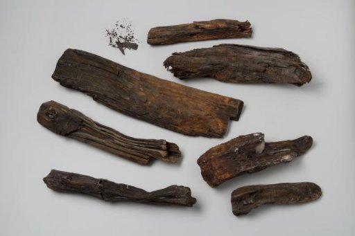 Firewood from the Shipwreck of the East Indiaman 't Vliegend Hart