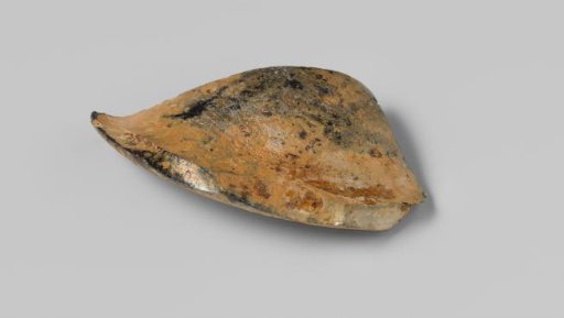 Shard of a wine bottle from the wreck of the East Indiaman Hollandia