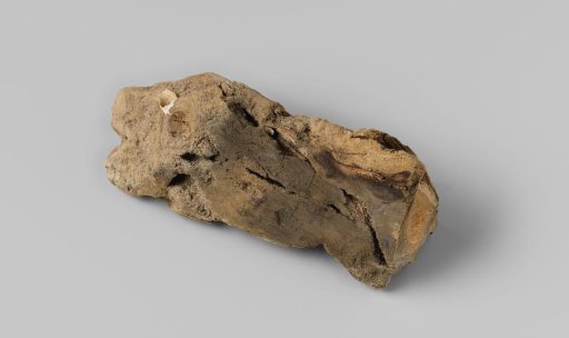 Wood fragment with shell inclusions from the wreck of the East Indiaman Hollandia