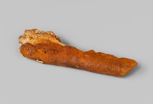 Animal bone fragment from the wreck of the East Indiaman Hollandia