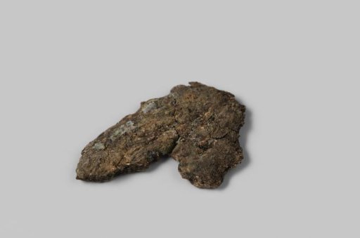 Wood fragment from the wreck of the East Indiaman Hollandia