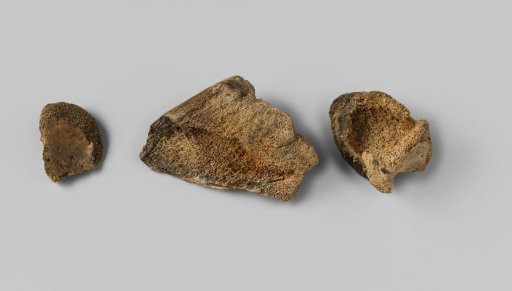 Bone fragments from the wreck of the East Indiaman Hollandia