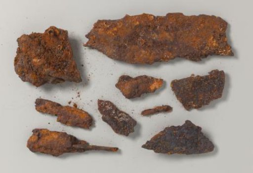 Wood fragments in concretion from the wreck of the East Indiaman Hollandia