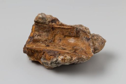 Concretion from the VOC ship 'Witte Leeuw'