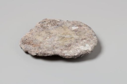 Concretion from the VOC ship 'Witte Leeuw'