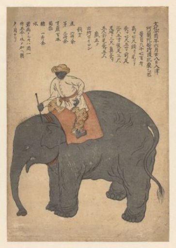 Elephant brought by a Dutch ship in 1813