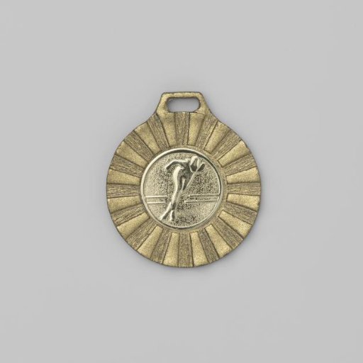 Commemorative Medal Slotermeer Tour 1991