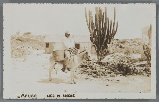 Aruba, Ned. W. Indie