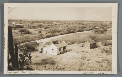 Aruba, N.W.I