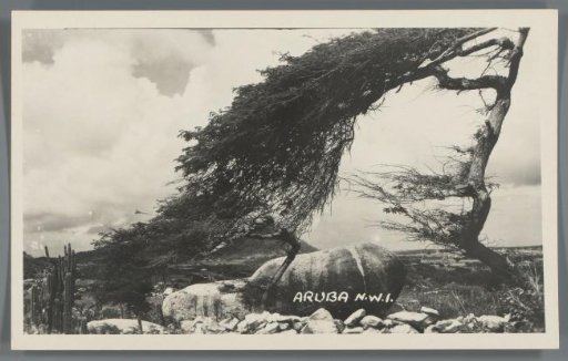 Aruba N.W.I