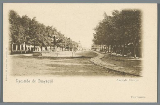 Olmedo Avenue