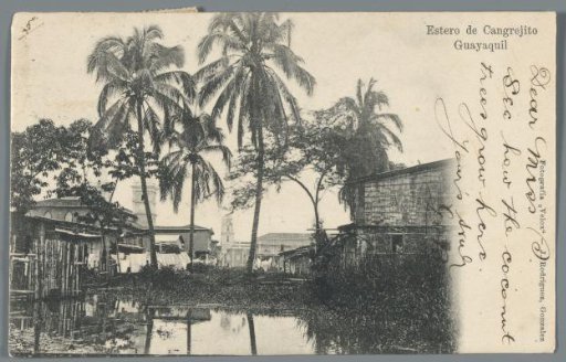 Cangrejito Estuary, Guayaquil