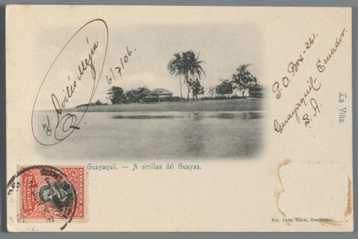 Guayaquil: On the Banks of the Guayas