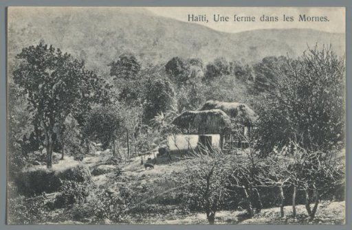 Haiti, A Farm in the Mornes