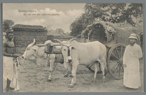 Madras mission, traveling with an Indian ox-cart