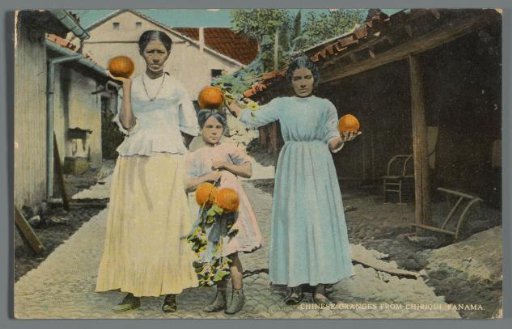 Chinese Oranges from Chiriqui, Panama