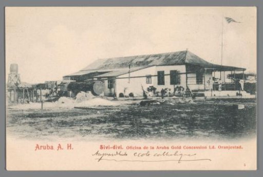 Sivi-divi, Office of the Aruba Gold Concession Ltd, Oranjestad