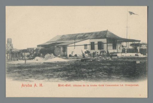 Aruba A.H.: Sivi-divi. Office of the Aruba Gold Concession Ltd., Oranjestad