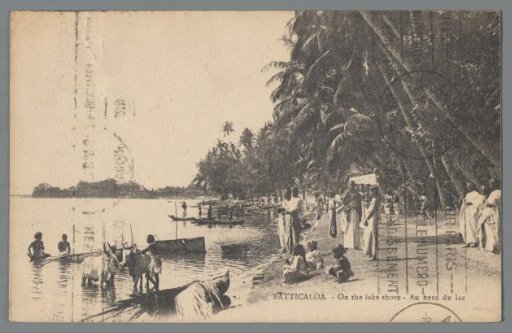 Batticaloa: On the lake shore / Au bord du lac