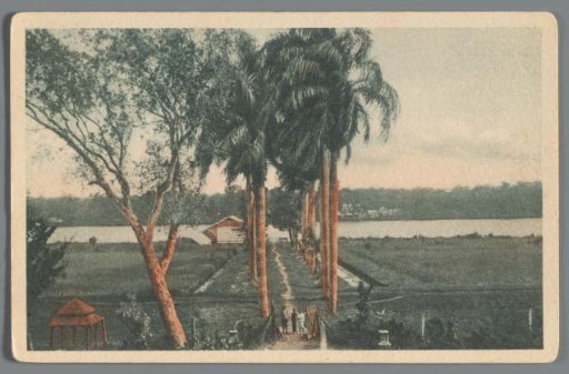 Suriname: Plantation on the Suriname River