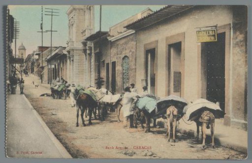 Bank Avenue - Caracas