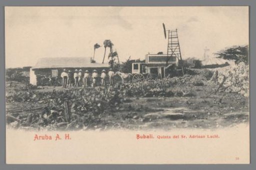 Bubali. Estate of Mr. Adriaan Laclé
