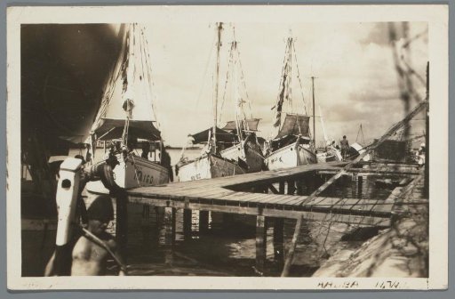 [...] Aruba N.W.I.