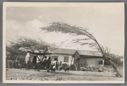 Two children and pigs with a house in the background