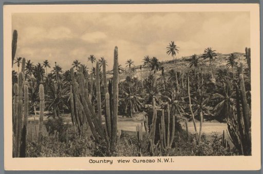 Country View Curacao N.W.I.