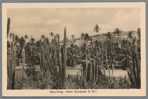 Country view Curacao N.W.I.
